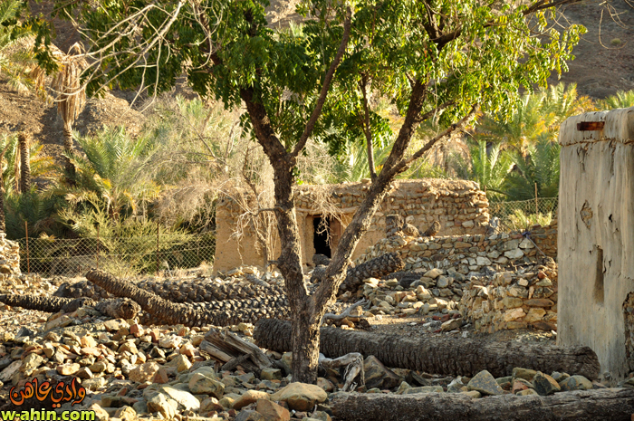 نقره لعرض الصورة في صفحة مستقلة