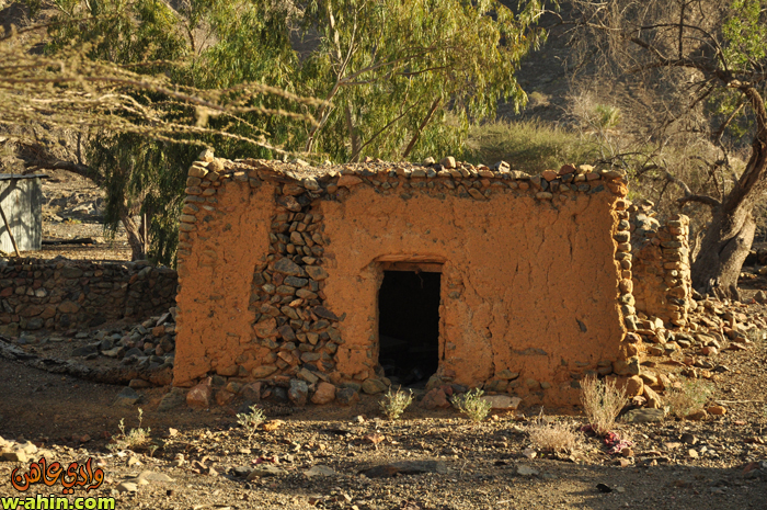 نقره لعرض الصورة في صفحة مستقلة